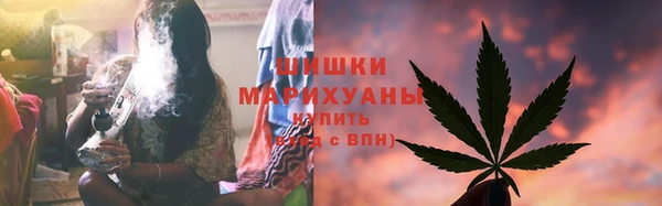 PSILOCYBIN Балахна