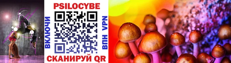 Псилоцибиновые грибы MAGIC MUSHROOMS  где можно купить   Заводоуковск 