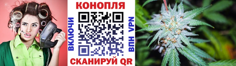 закладки  Заводоуковск  Конопля AK-47 